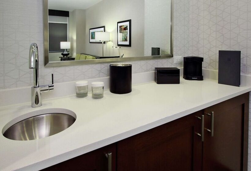 Люкс Адаптированный для Инвалидов, Embassy Suites By Hilton Pittsburgh Downtown
