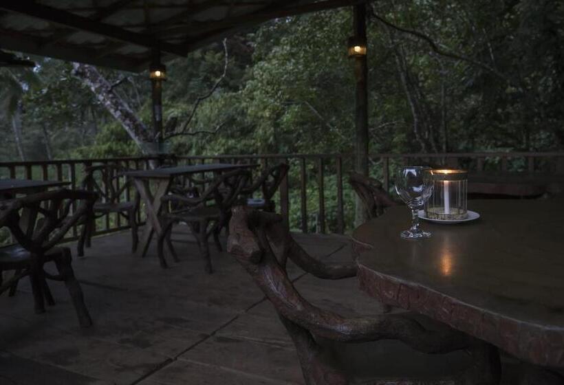 Номер Стандарт, Sinharaja Forest Edge