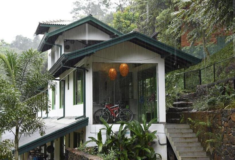 Номер Стандарт, Sinharaja Forest Edge