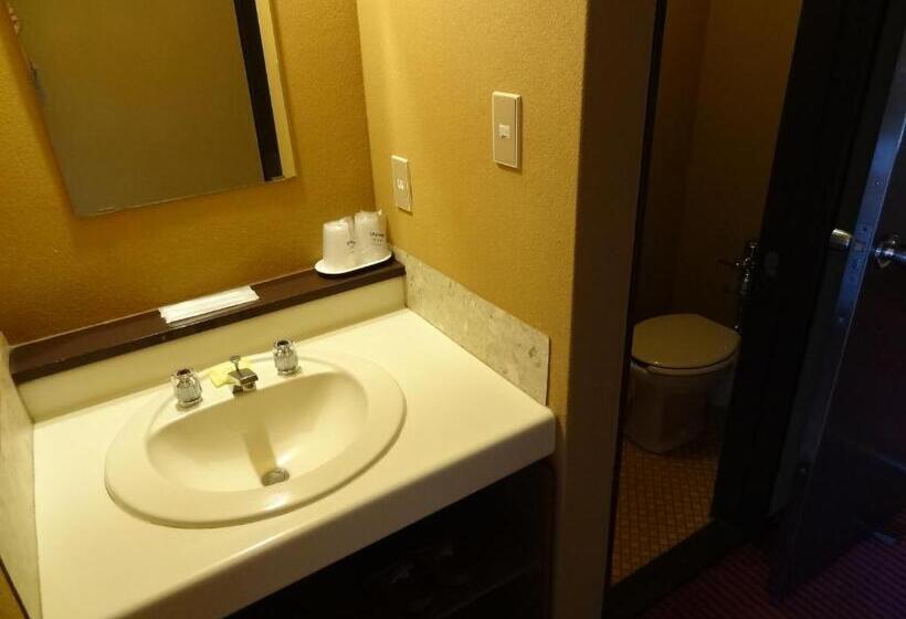 Номер Стандарт, Royal Hotel Kawaguchiko