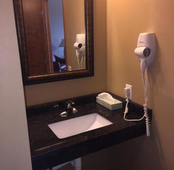 带大床的标准间, Cobblestone Inn & Suites  Newton