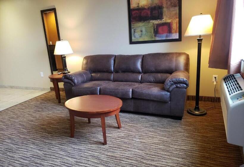 Стандартный Номер Кровать Кинг, Cobblestone Inn & Suites  Newton