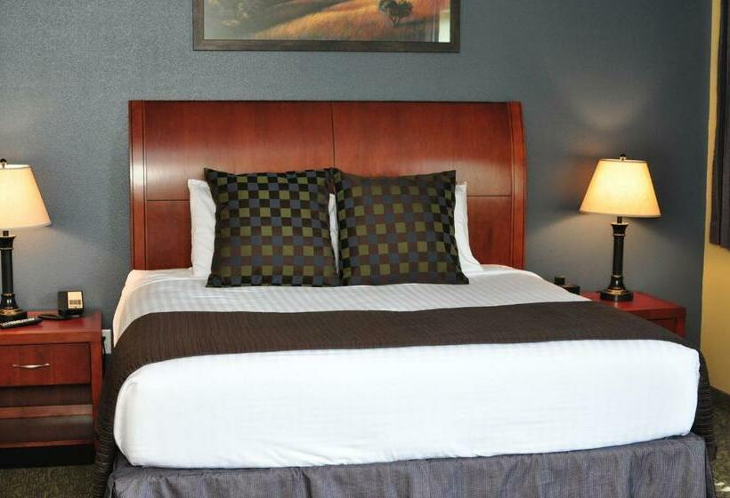带大床的套房, Cobblestone Inn & Suites  Newton