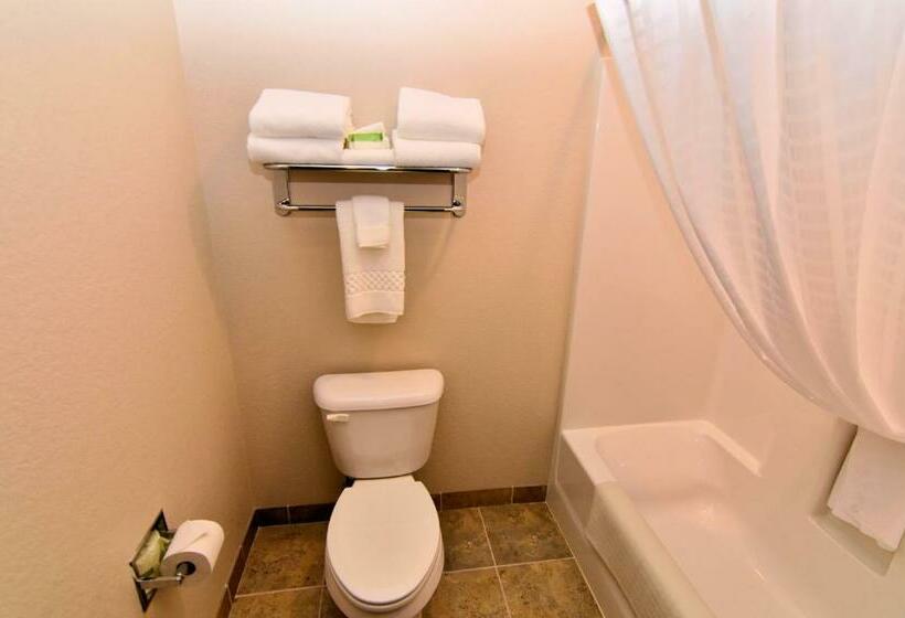带大床的套房, Cobblestone Inn & Suites  Newton