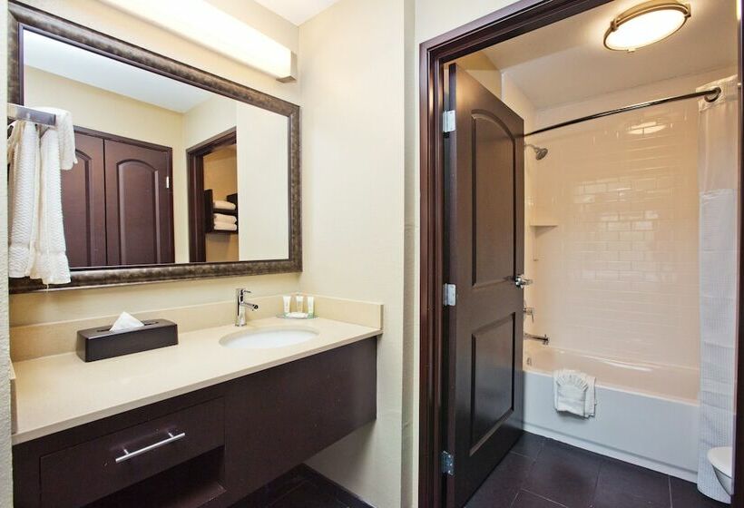 Студия Стандарт, Staybridge Suites Austin South Interstate Hwy 35, An Ihg