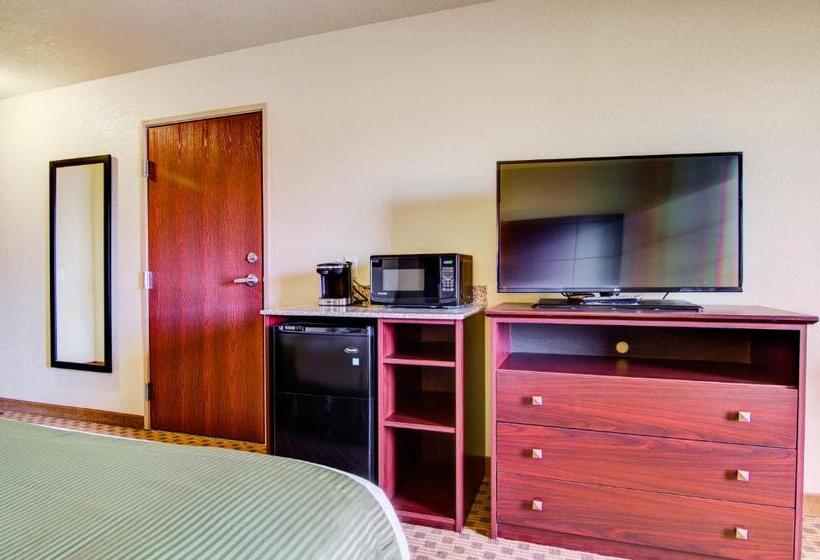 장애인을 위한 킹사이즈 침대 스탠다드 룸, Cobblestone Hotel & Suites Pulaski/green Bay