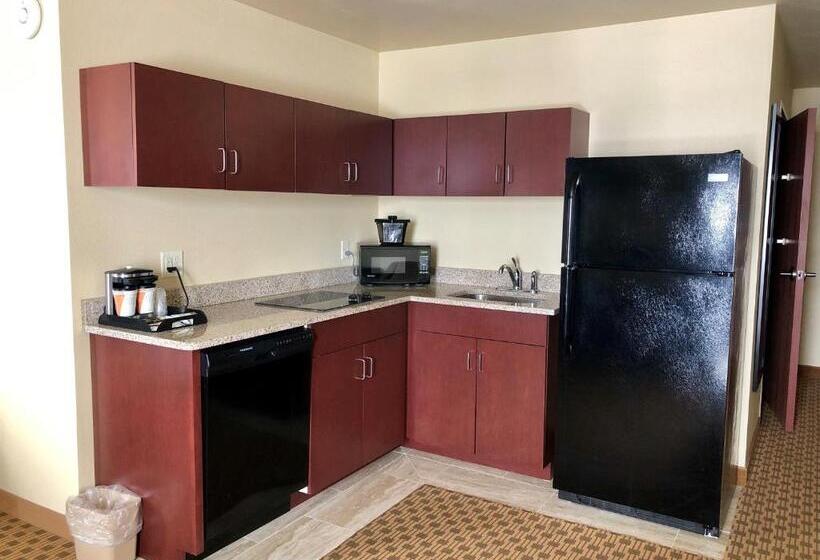 스탠다드 스튜디오, Cobblestone Hotel & Suites Pulaski/green Bay