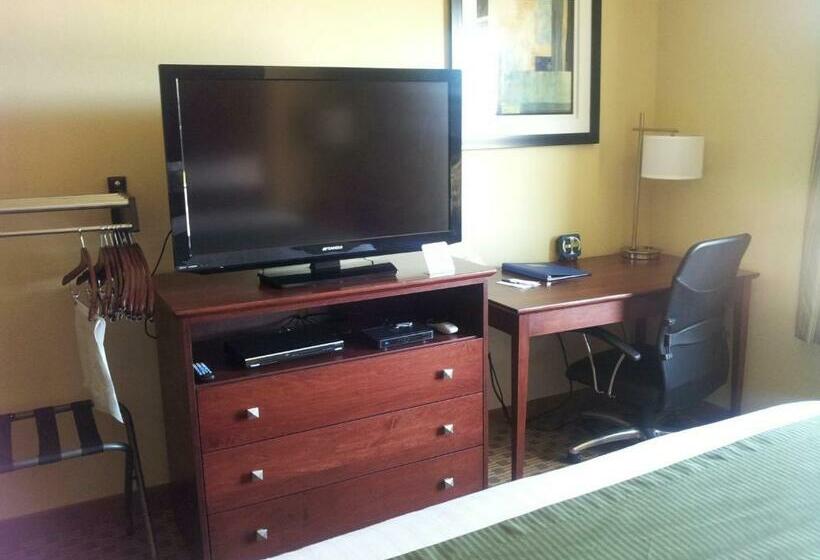Стандартный Номер Кровать Кинг, Cobblestone Inn & Suites  Hartington