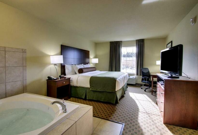 Стандартный Номер Кровать Кинг, Cobblestone Inn & Suites  Hartington