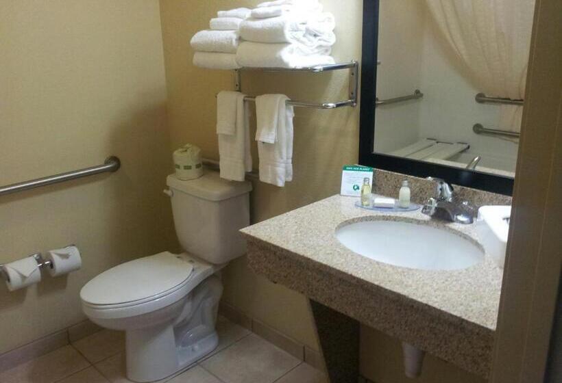 Номер Стандарт Адаптированный для Инвалидов, Cobblestone Inn & Suites  Hartington