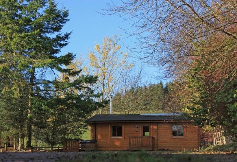 Апартаменты 3 Спальни, Saplinbrae Hotel And Lodges