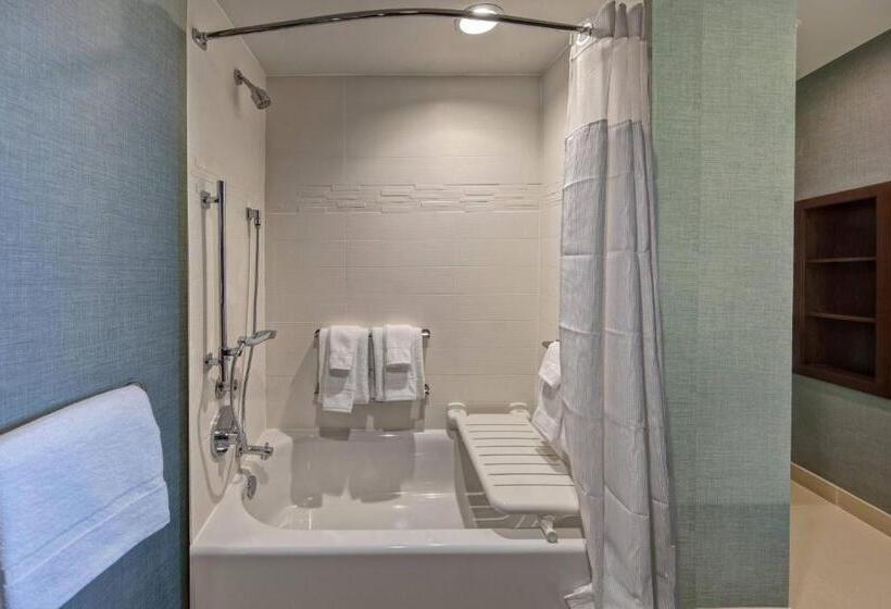 套房, Residence Inn By Marriott Kansas City Downtown/convention Center