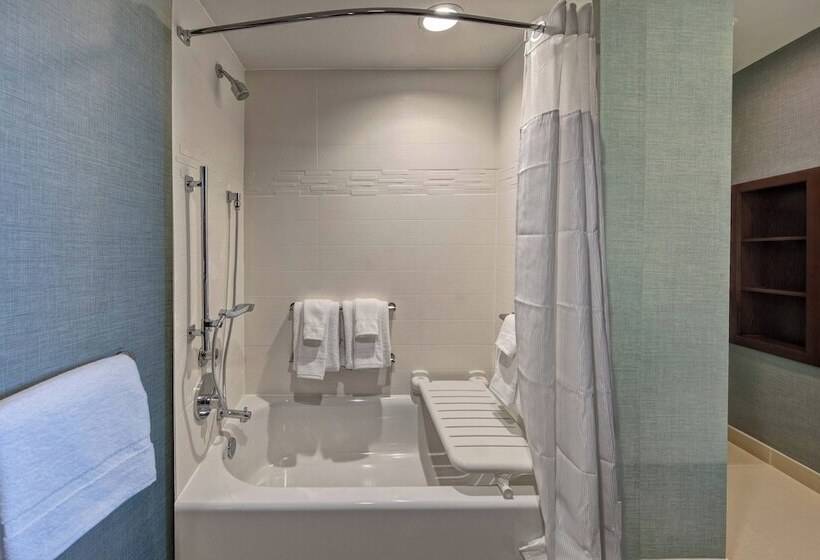 套房, Residence Inn By Marriott Kansas City Downtown/convention Center