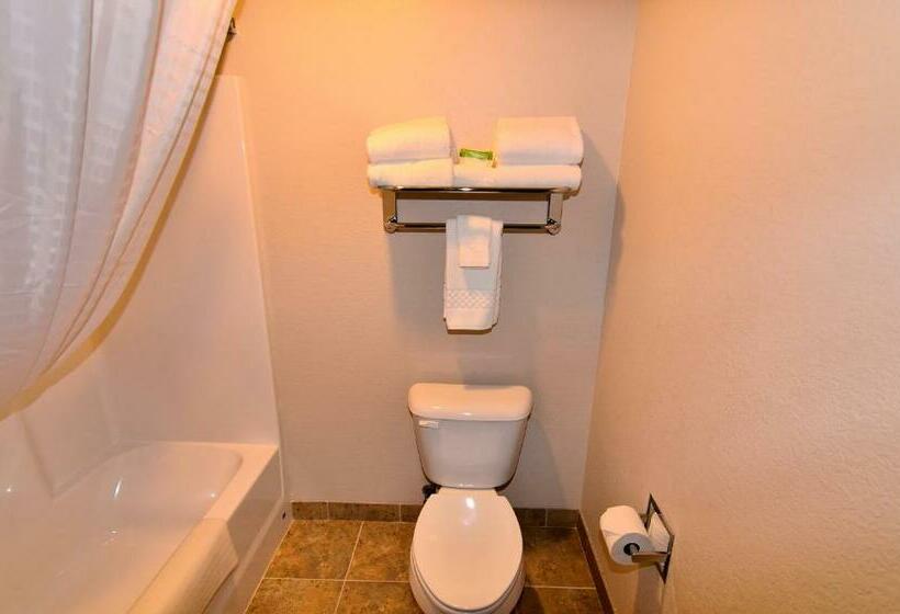 Стандартный Номер Кровать Кинг, Cobblestone Inn & Suites  Monticello