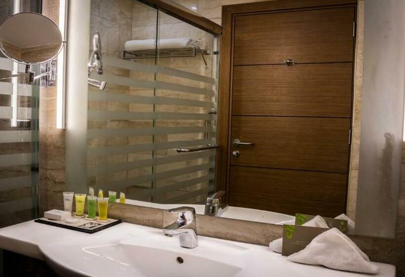اتاق سوپریور با تخت بزرگ, Olive Tree Amman