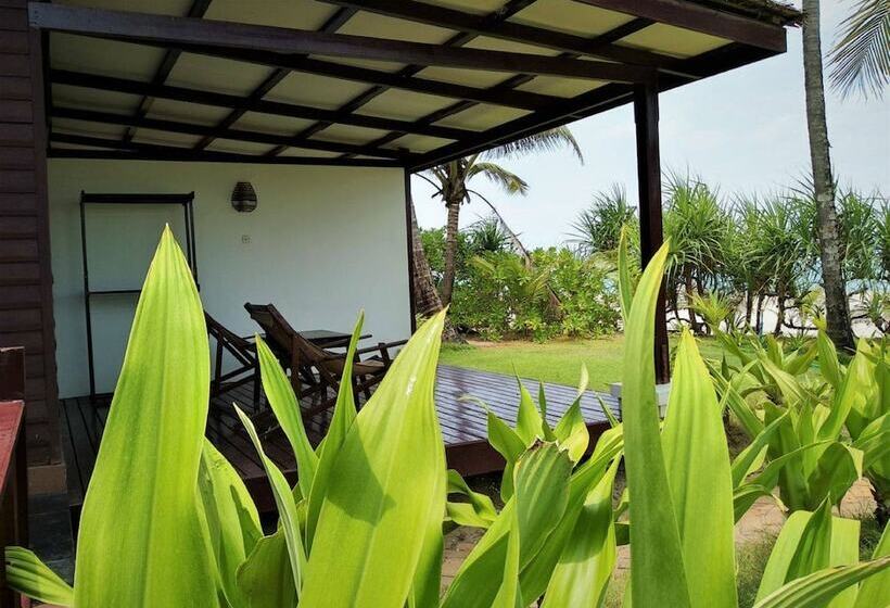بانگلوی لوکس, Emerald Sea Resort