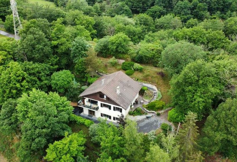 Номер Стандарт, Camp Paradis