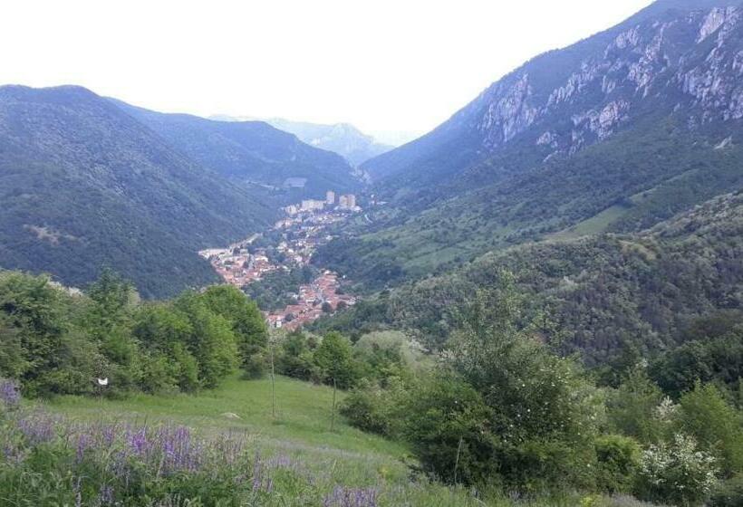Номер Стандарт Вид на Горы, Casa Peneșel