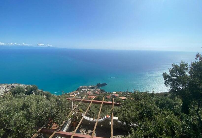 اتاق لوکس با چشم‌انداز دریا, Bed&breakfast Miramare