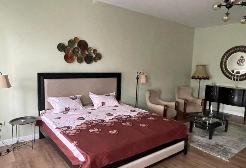 آپارتمان سوپریور 1 خوابه, Cozyflat In The Central Arad