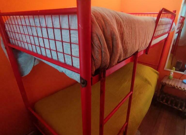 اتاق استاندارد, Gatos De Campo, Tiernos Y Traviesos