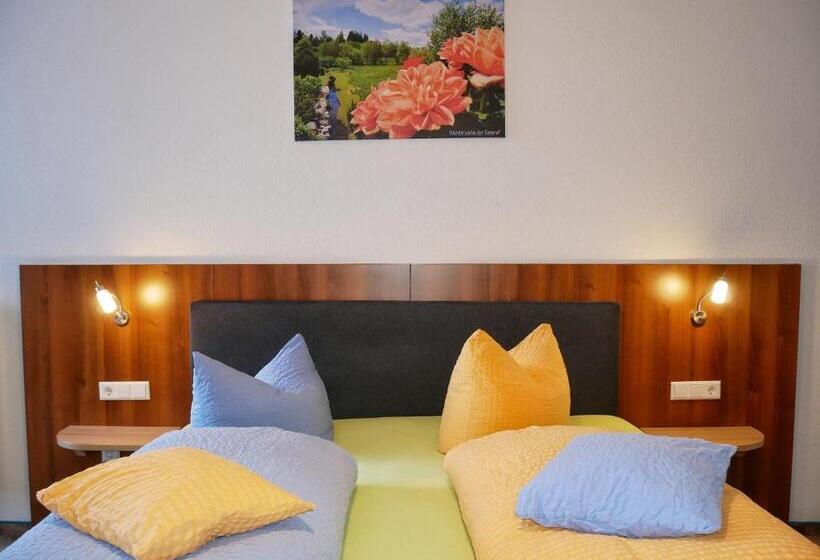 Номер Комфорт, Wochner S Hotel Sternen Am Schluchsee Hochschwarzwald