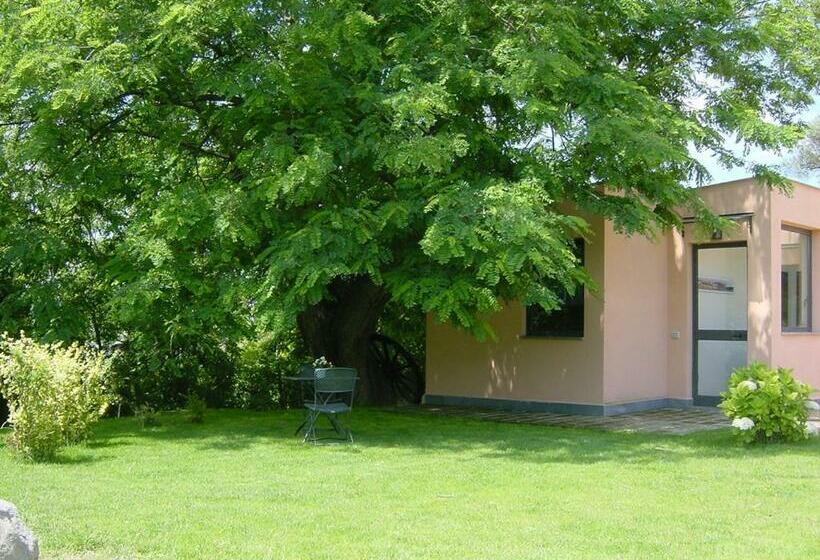 Номер Стандарт, Flegrea House