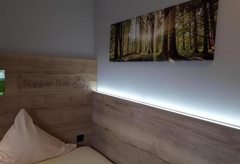 Номер Deluxe Одноместный, Bigger Hof   Wirtshaus Platzhirsch Am Jahnplatz