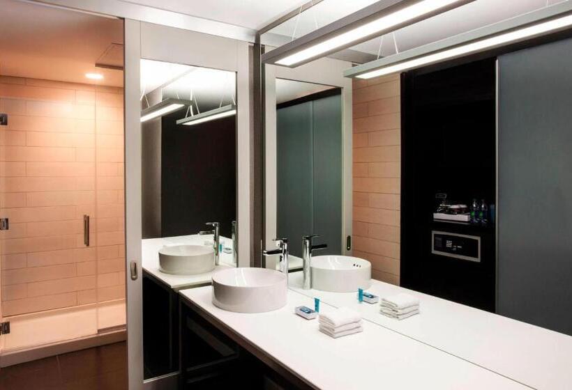 Номер Deluxe Кровать Кинг Вид на Город, Aloft Sarasota
