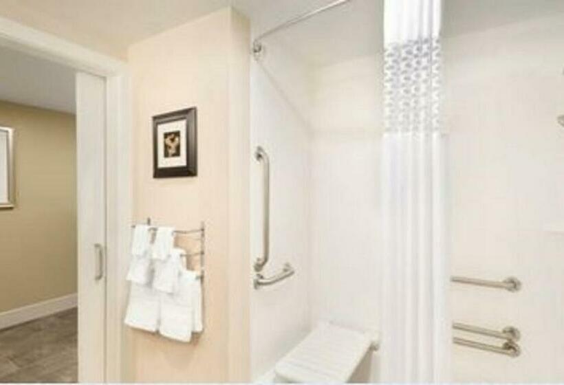 اتاق استاندارد با تخت بزرگ برای معلولان, Hampton Inn Elko