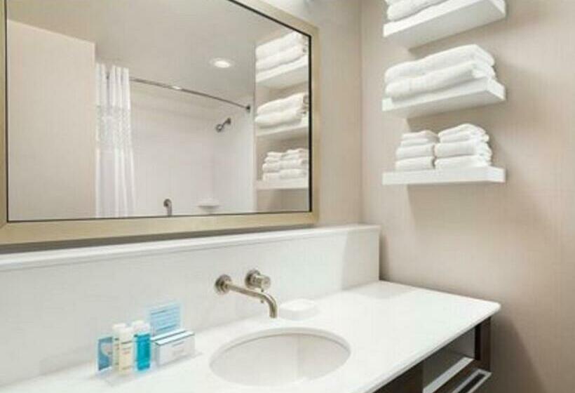 اتاق استاندارد با تخت بزرگ, Hampton Inn Elko