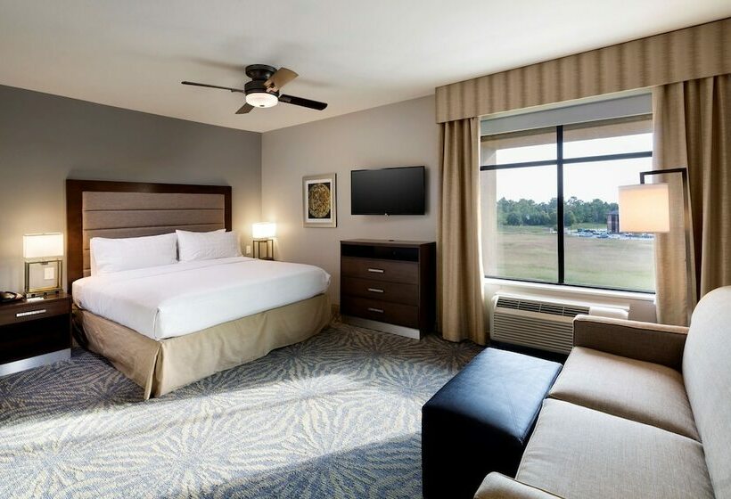 Студио Стандарт Кровать Кинг, Homewood Suites By Hilton Houston / Katy Mills Mall