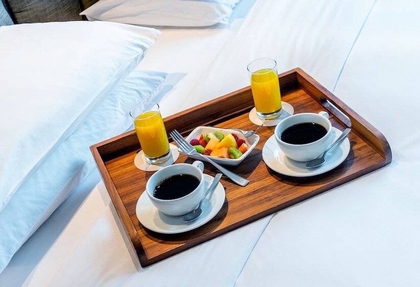 小型套房, Hyatt Centric Montevideo
