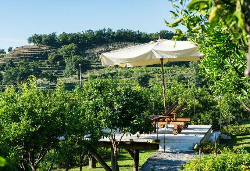 スイート, Monaci Delle Terre Nere