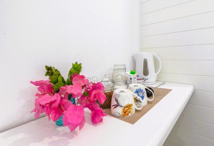 Standart Oda, Absolute Bosch Guest House