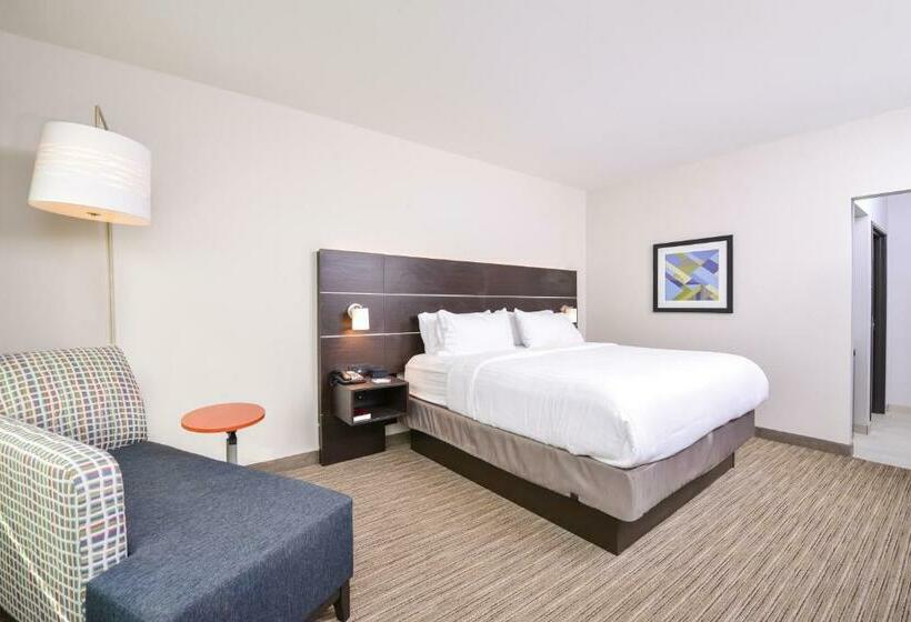 장애인을 위한 킹사이즈 침대 스탠다드 룸, Holiday Inn Express Donaldsonville, An Ihg