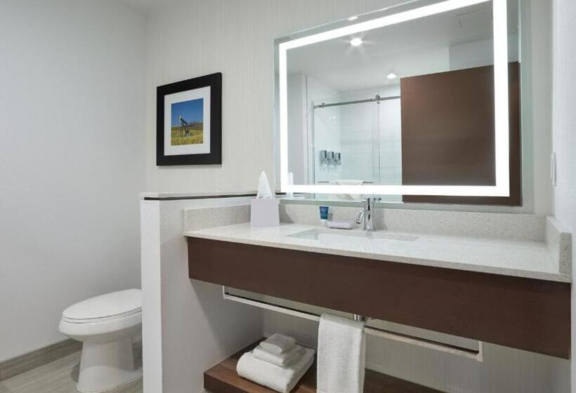 스탠다드 룸 킹사이즈 침대, Four Points By Sheraton Sherwood Park