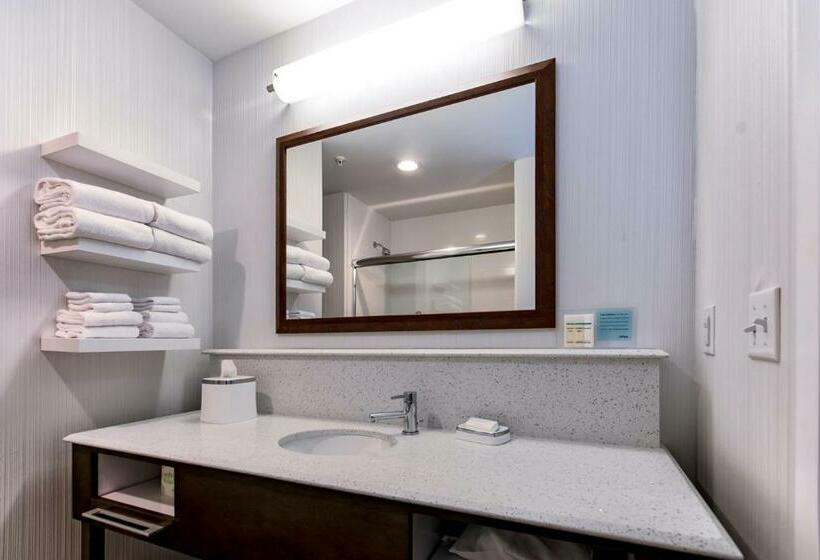 Номер Стандарт Кровать Кинг Адаптированный для Инвалидов, Hampton Inn Lockport  Buffalo