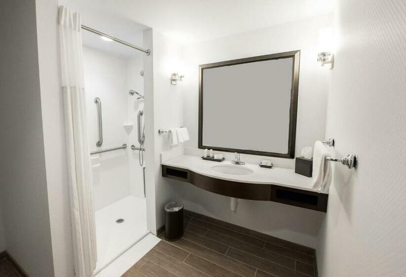 장애인을 위한 킹사이즈 침대 스탠다드 룸, Hilton Garden Inn Indiana At Iup