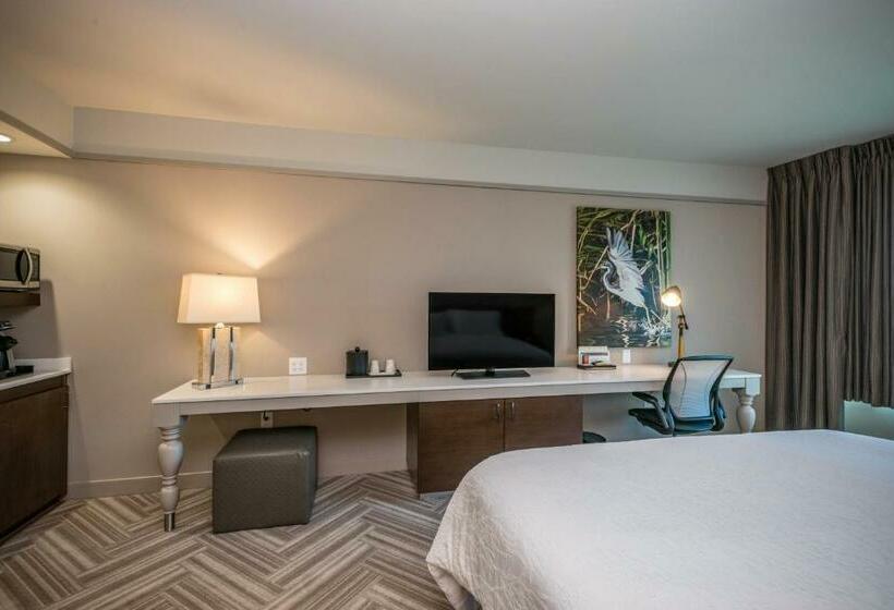 장애인을 위한 킹사이즈 침대 스탠다드 룸, Hilton Garden Inn Mobile Downtown
