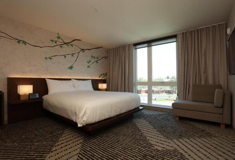Люкс, Cedartree Hotel Portland Hillsboro