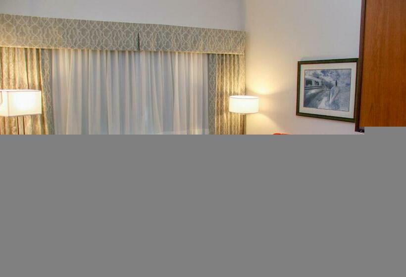 스탠다드 룸 킹사이즈 침대, Holiday Inn & Suites Denver Tech Center Centennial, An Ihg