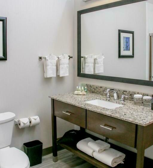 Люкс Кровать Кинг, Holiday Inn & Suites Denver Tech Center Centennial, An Ihg
