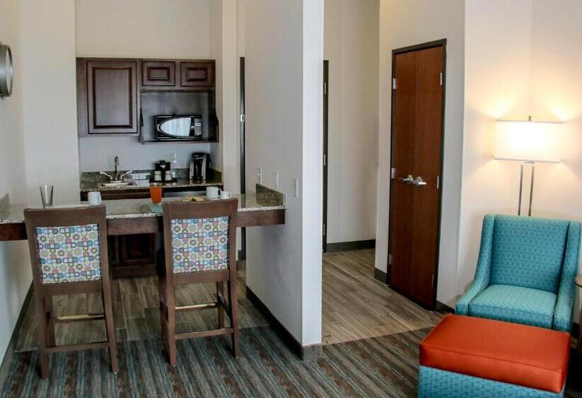 Люкс Кровать Кинг, Holiday Inn & Suites Denver Tech Center Centennial, An Ihg
