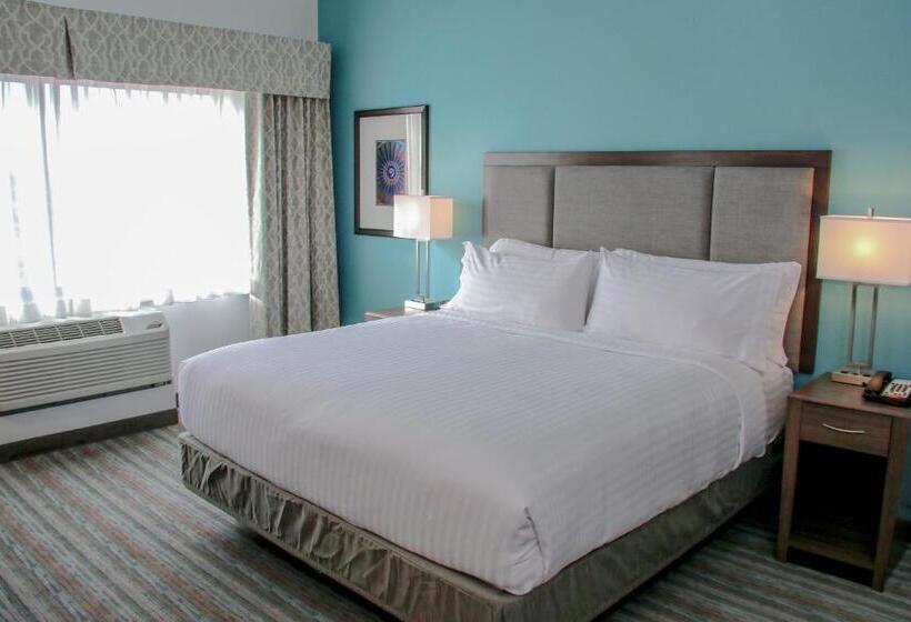 Номер Стандарт Кровать Кинг Адаптированный для Инвалидов, Holiday Inn & Suites Denver Tech Center Centennial, An Ihg