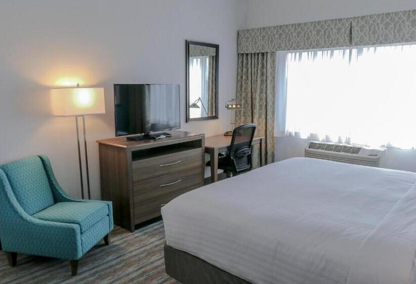 Номер Стандарт Кровать Кинг Адаптированный для Инвалидов, Holiday Inn & Suites Denver Tech Center Centennial, An Ihg