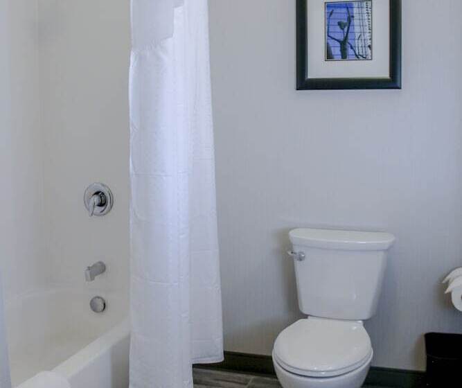 스탠다드 룸, Holiday Inn & Suites Denver Tech Center Centennial, An Ihg