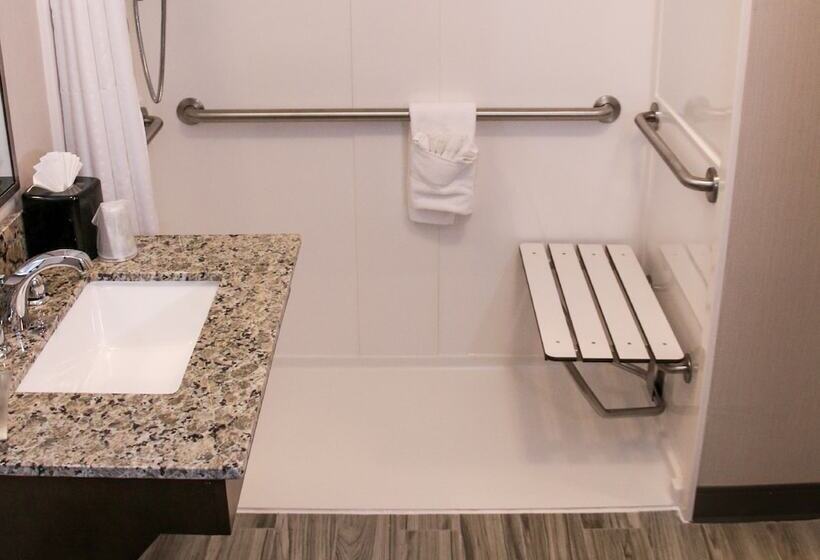 Люкс Адаптированный для Инвалидов, Holiday Inn & Suites Denver Tech Center Centennial, An Ihg