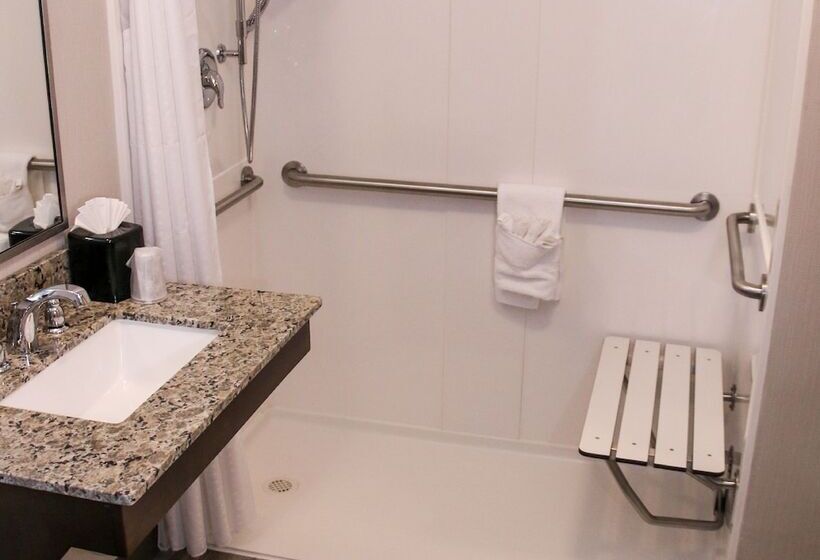 Люкс Адаптированный для Инвалидов, Holiday Inn & Suites Denver Tech Center Centennial, An Ihg