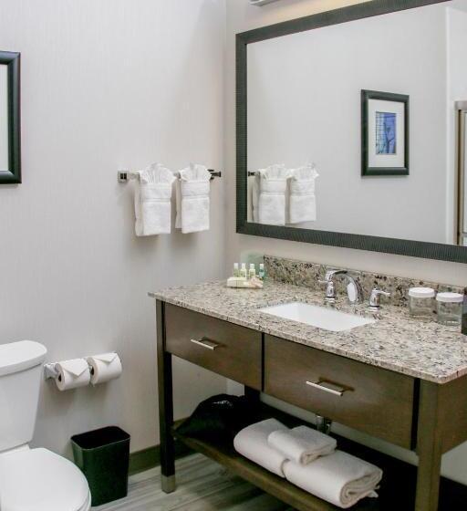 Люкс Адаптированный для Инвалидов, Holiday Inn & Suites Denver Tech Center Centennial, An Ihg